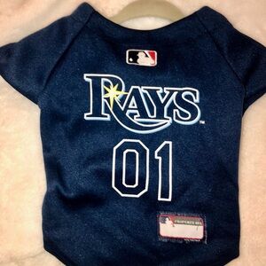 Official MLB Tampa Bay Rays Baseball Jersey for Your Dog!